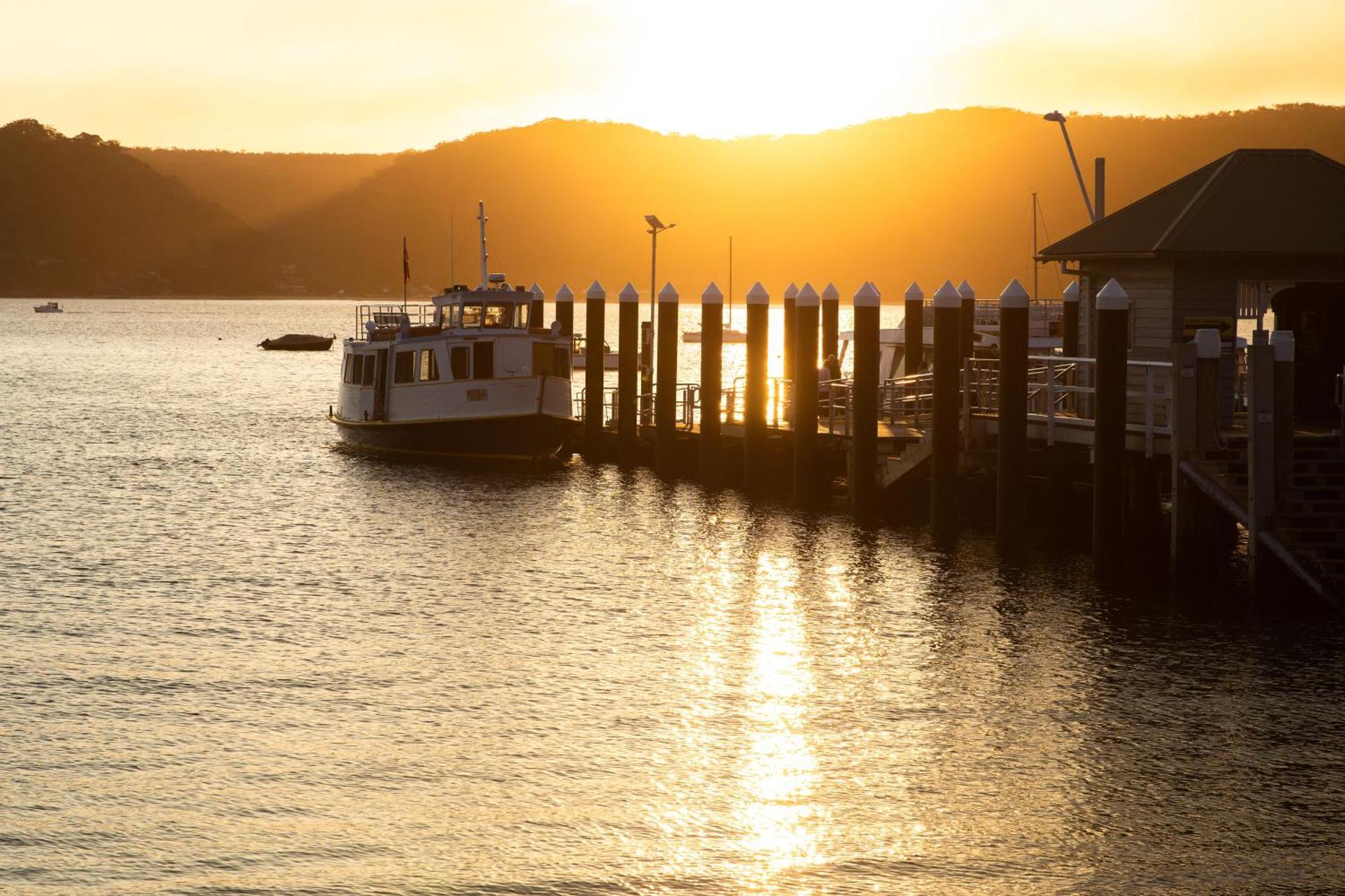Villa Cape Mackerel Cabin with Magic Palm Beach & Pittwater Views Great Mackerel Beach Exterior foto
